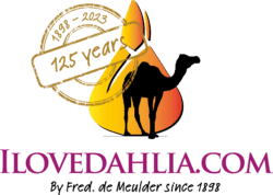 Shopify Premium test2