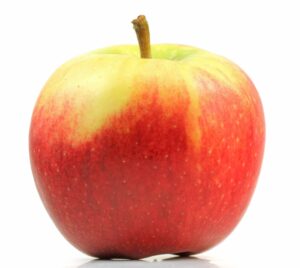 Appel – Elstar