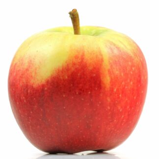 Appel – Elstar
